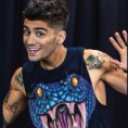 /album/fotogalerij/zaynie-jpg/